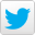 Post to Twitter